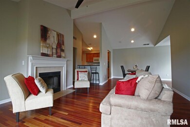 4535 N Thornhill Dr unit 201, Peoria, IL 61615 - photo 6