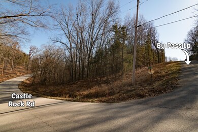 5 ByPassLoopLotsBransonWestMO-7