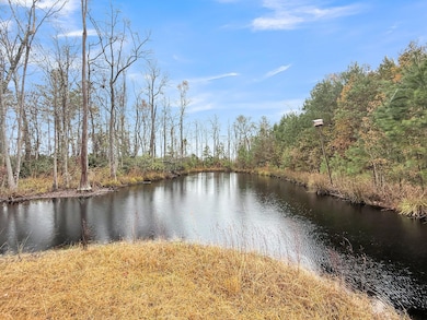 1613 Cavanaugh Rd, Ritter, SC 29488 - photo 4