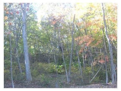 11163 Gore-Greendale Rd, Logan, OH 43138 - photo 4