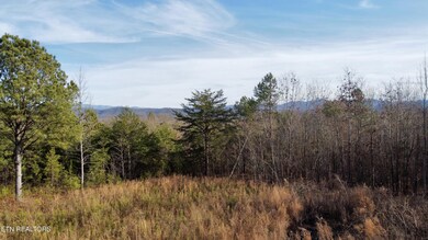 dji_fly_20250125_154624_696_173784091890