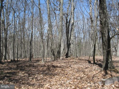 9 Deerwood Ln, Berkeley Springs, WV 25411 - photo 2