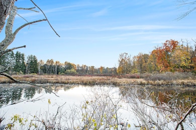 15800 N Dr N, Marshall, MI 49068 - photo 6