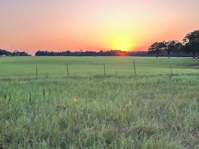 717 County Road 2320, Mineola, TX 75773 - photo 4