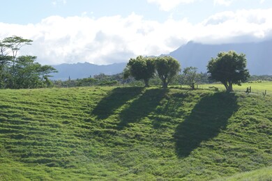 0 Olohena Rd unit 710994, Kapa?a, HI 96746 - photo 3