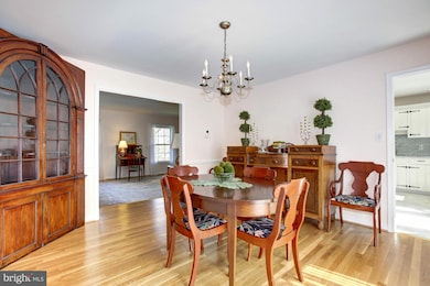 7407 Lanham Rd, Falls Church, VA 22043 - photo 5