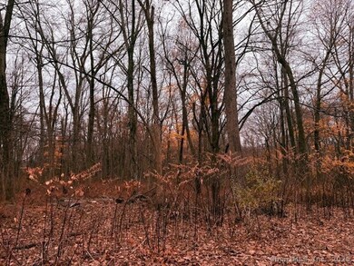 72D Walnut St, Seymour, CT 06483 - photo 6