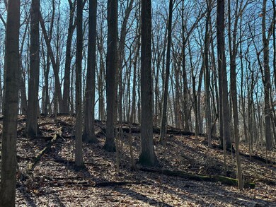 0 S 15th St, Niles, MI 49120 - photo 3