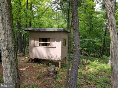 1123 Franklin Mills Rd, Warfordsburg, PA 17267 - photo 6