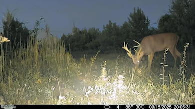 0 Fish Rd, Eastman, GA 31023 - photo 7