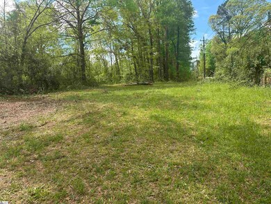 101 W Bluford St, Clinton, SC 29325 - photo 6