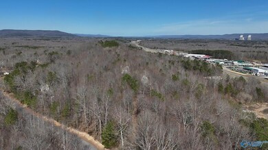 23 N George Adams Rd, Hytop, AL 35768 - photo 4