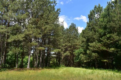 0 Nickelsville Rd NW unit 20148653, Resaca, GA 30735 - photo 4