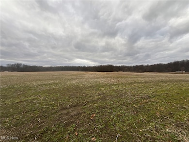 0 Ohio 225 unit 5174573, Diamond, OH 44412 - photo 6