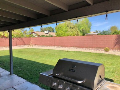 Matlock- Backyard