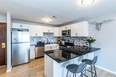 Courtland Hall unit 317, Saint Louis, MO 63141 - photo 3