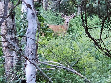 63 Deer Valley Dr unit K63, Fairview, UT 84629 - photo 7