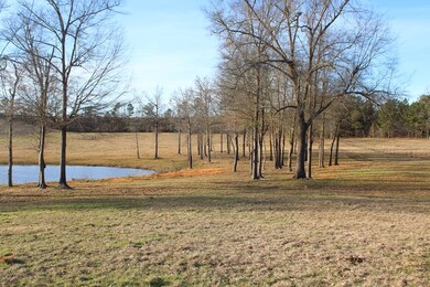 0 Highway 221 unit 451326, McDuffie, GA 30808 - photo 4