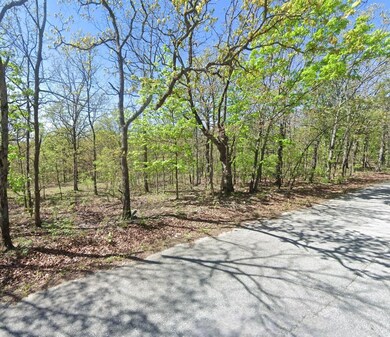 0 David Hall Blvd, Eucha, OK 74342 - photo 5