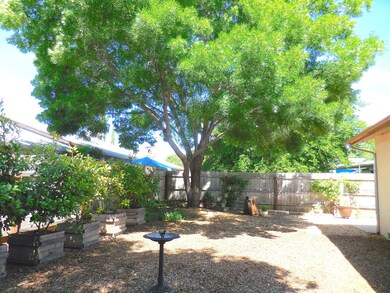 Back yard, view 3