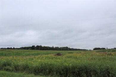 TBD 310th St, Little Elk Township, MN 56438 - photo 4