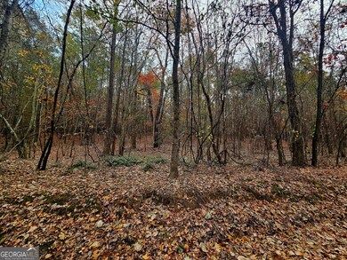 0 Windy Hill Rd unit 10646717, Franklin, GA 30217 - photo 4