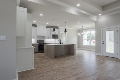 11 Calvados Ct, Cabot, AR 72023 - photo 6