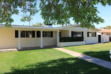 Lawn and Patio