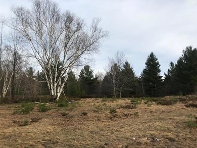 0 Sloptown Rd unit 201812505, Beaver Island, MI 49782 - photo 5