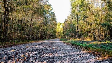 240 Groomsville Rd, Moncks Corner, SC 29461 - photo 4