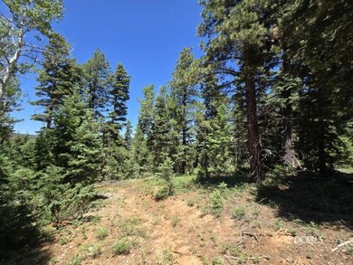 855 W Big Horn Cir, Duck Creek Village, UT 84762 - photo 4