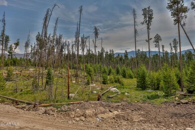 TBD Gcr 471 #2, Grand Lake, CO 80447 - photo 7