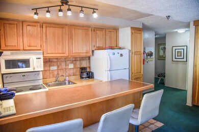 201 W Main St unit 122, Red River, NM 87558 - photo 5