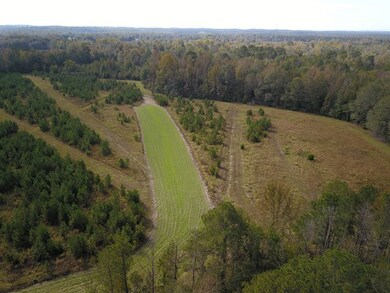 732 acre U S Highway 82, Eufaula, AL 36027 - photo 3