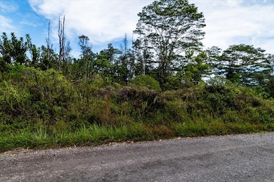 0 2nd Ave unit 724919, Keaau, HI 96749 - photo 6