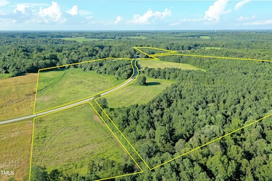 61.9 Acres Timberlake Rd, Franklinton, NC 27525 - photo 2