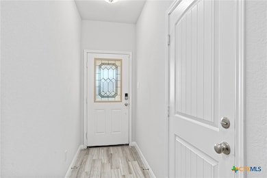 14072 Carsten Loop, Salado, TX 76571 - photo 6