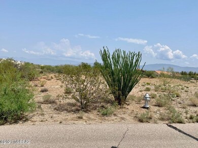 2981 E Broadview Dr unit 25, Vail, AZ 85641 - photo 3