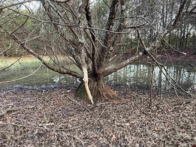 790-00918-000 Marion County 8057, Yellville, AR 72687 - photo 5