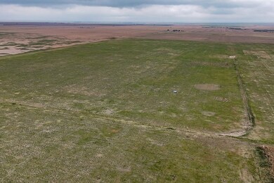 160 +/- Acres Off 22 Rd, Rolla, KS 67954 - photo 3