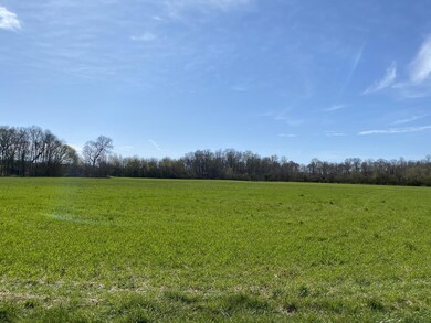 6.59acres of the greenest grass you've ever seen!! Surrounded by peace and quiet, nature, and the Duck river!! 