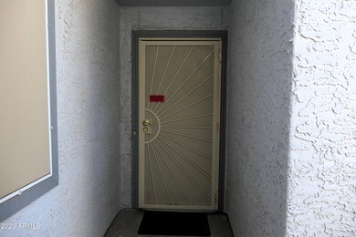 Security Screen Door