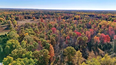 0 Twin Lake Rd, Middle Branch Township, MI 49665 - photo 6