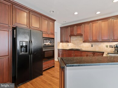 25638 Creek Run Terrace, Chantilly, VA 20152 - photo 7