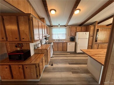 913 Palm Dr, Alamo, TX 78516 - photo 5