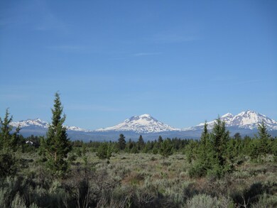 17820 Mountain View Rd, Sisters, OR 97759 - photo 2