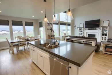 Kitchen with light wood-style flooring, a sink, open floor plan, dark countertops, and stainless steel dishwasher