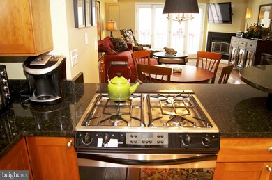 425 Grindall St, Baltimore, MD 21230 - photo 7