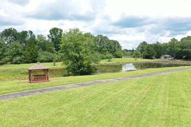 Pond