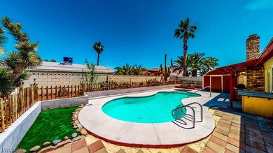 View of the backyard. Lots of cacti around the per